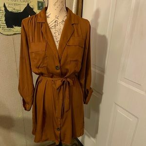 Brown shirt dress